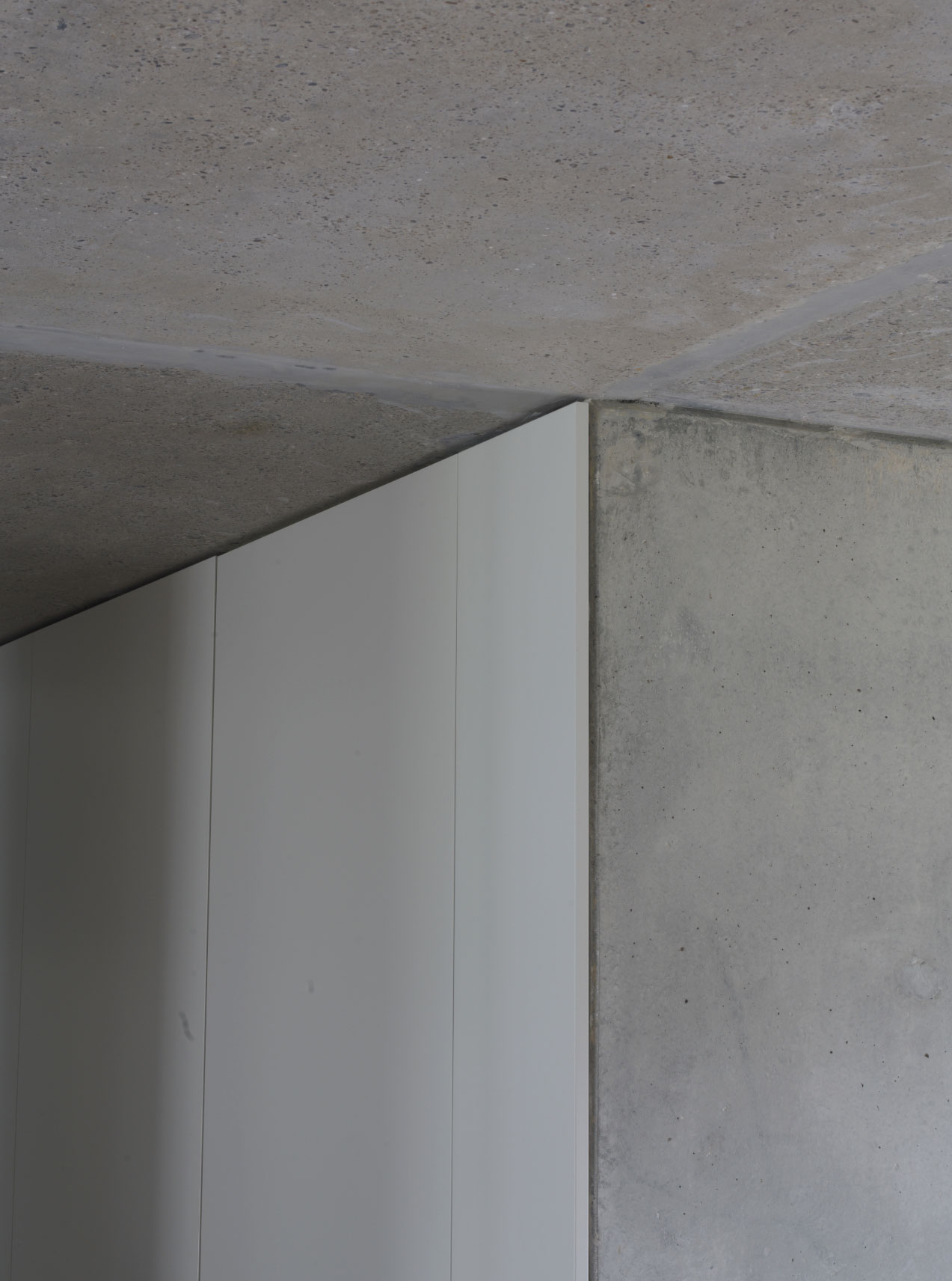 Architekturbüro Zürich – Umbau einer Wohnung im Rohbau mit Holzrahmen